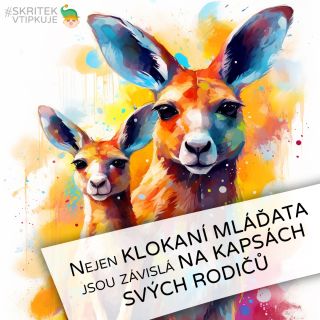 "Nejen klokaní mláďata jsou závislá na kapsách svých rodičů" #skritekvtipkuje #skritekvitek #skritekvitekcz #citat #citaty...